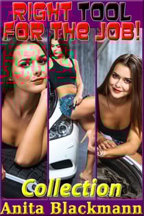 Right Tool for the Job! Collection - Right Tool for the Job!, #101