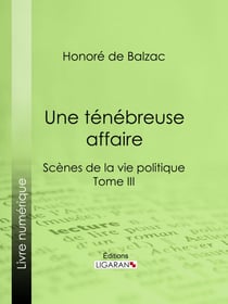 Une ténébreuse affaire - Scènes de la vie politique - Tome III