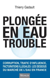 Plongée en eau trouble - Corruption, trafic d'influence, facturations illégales : les dessous du marché de l'eau en France