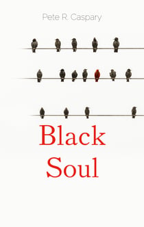 Black Soul - Ein Jahr im Leben von Popp