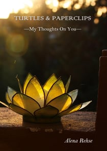 Turtles & Paperclips - My Thoughts On You