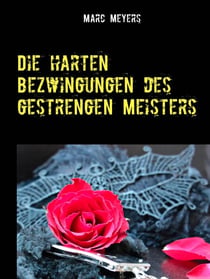 Die harten Bezwingungen des gestrengen Meisters - BDSM Erotik