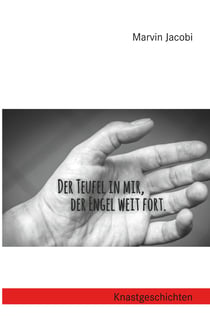 Der Teufel in mir, der Engel weit fort - Knastgeschichten