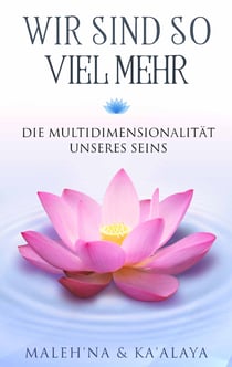 Wir sind so viel mehr - Die Multidimensionalität unseres Seins
