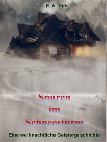 Spuren im Schneesturm - Eine weihnachtliche Geistergeschichte