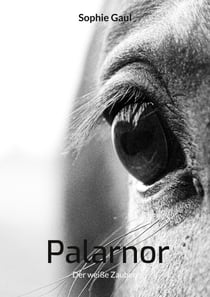Palarnor - Der weiße Zauberer