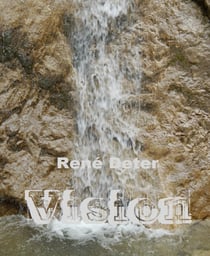Vision