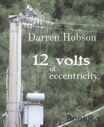 12 Volts Of Eccentricity