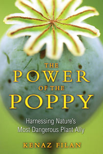 The Power of the Poppy - Harnessing Nature's Most Dangerous Plant Ally