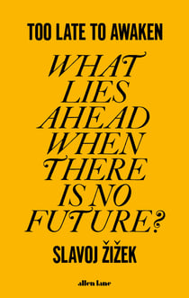 Too Late to Awaken - What Lies Ahead When There is No Future?