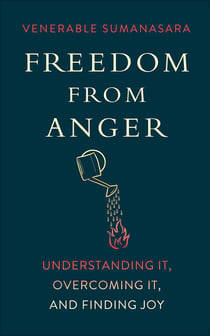 Freedom from Anger - Understanding It, Overcoming It, and Finding Joy