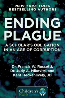 Ending Plague - A Scholar's Obligation in an Age of Corruption