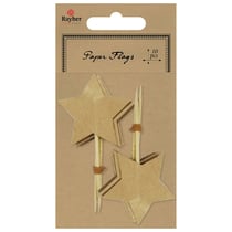 10 Etoiles Kraft montées sur Piques - 8 cm - Rayher