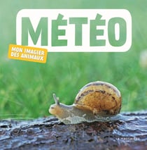 Mon imagier des animaux - météo