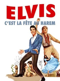 C'est la fête au harem