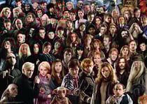 Puzzle Challenge Harry Potter - 1000 pièces