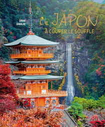 Le Japon à couper le souffle