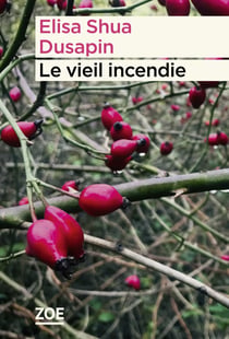 Le vieil incendie