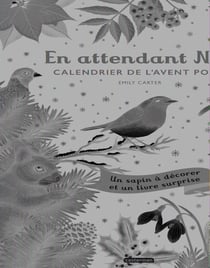En attendant Noël : calendrier de l'avent pop-up