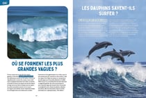 Science et vie junior : Les mystères de la nature