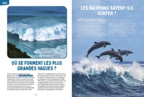 Science et vie junior : Les mystères de la nature