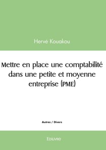 Mettre en place une comptabilité dans une petite et moyenne entreprise (PME)