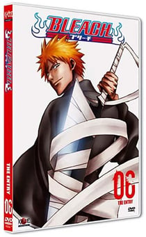 BLEACH, VOL. 6