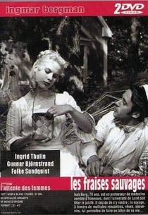 LES FRAISES SAUVAGES L'ATTENTE DES FEMME S