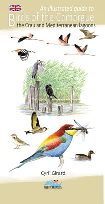 An illustrated guide to birds of the Camargue the crau and Mediterranean lagoons