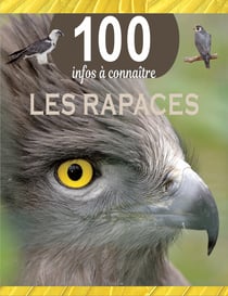 100 infos à connaître : Les rapaces