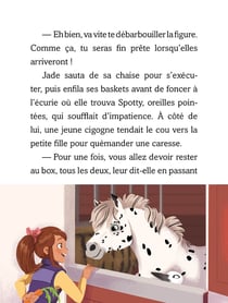 Jade et les chevaux Tome 3 : Un nouveau poulain