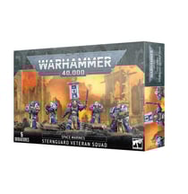 Warhammer 40.000 - Space Marines - Escouade de Vétérans Sternguard