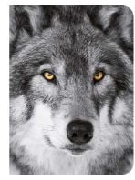 Loup