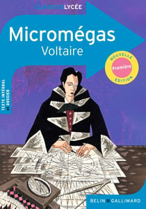 Micromégas