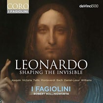 Leonardo shaping the invisible
