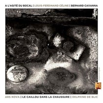 A L'AGITE DU BOCAL - LE CAILLOU DANS LA CHAUSSURE
