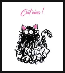 Cartes doubles Pictura - Gribouille