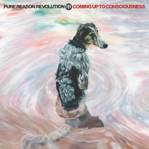 Coming Up To Consciousness - CD