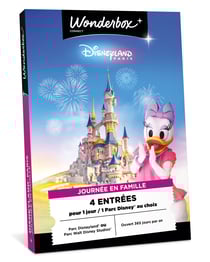 Coffret cadeau Wonderbox Connect - Disneyland Paris en famille - 2 adultes + 2 enfants