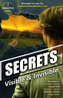 Secrets: Visible & Invisible - Visible & Invisible Series