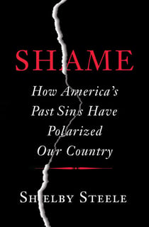 Shame - How America's Past Sins Have Polarized Our Country