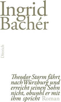 Theodor Storm fährt nach Würzburg und erreicht seinen Sohn nicht, obwohl er mit ihm spricht - Roman