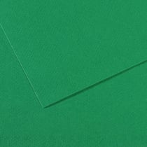 Feuille MI-TEINTES® Canson - 50 x 65 cm - 160g/m² - vert billard