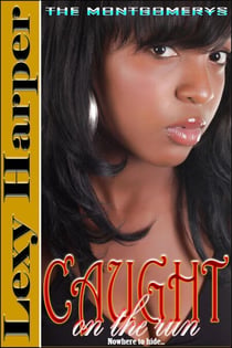 Caught on the Run - The Montgomerys, #2