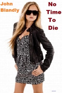 No Time To Die - mystery