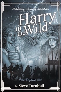 Harry in the Wild - Iron Pegasus, #2