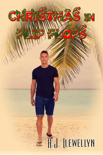 Christmas In Flip Flops