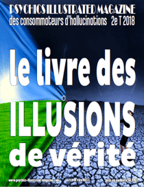 activité mentale illustrée 2e trimestre 2018 - le livre des illusions de vérité