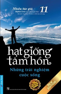 Hạt Giống Tâm Hồn 11 - Những Trải Nghiệm Cuộc Sống - Hạt Giống Tâm Hồn, #11