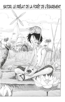 One Piece édition originale - Chapitre 246 - Satori, le prélat de la forêt de l'égarement